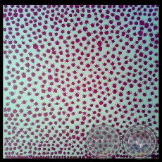 ACRÍLICO SOBRE TELA DE SEBASTIÁN BOESMI, 2009